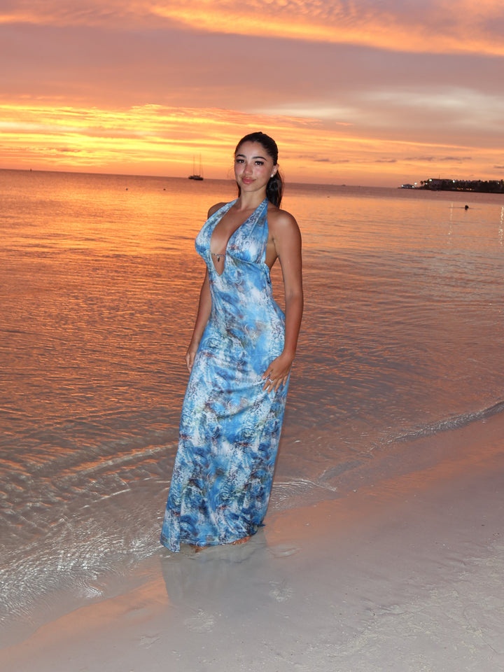 Printed V-Neck Halter Neck Maxi Dress